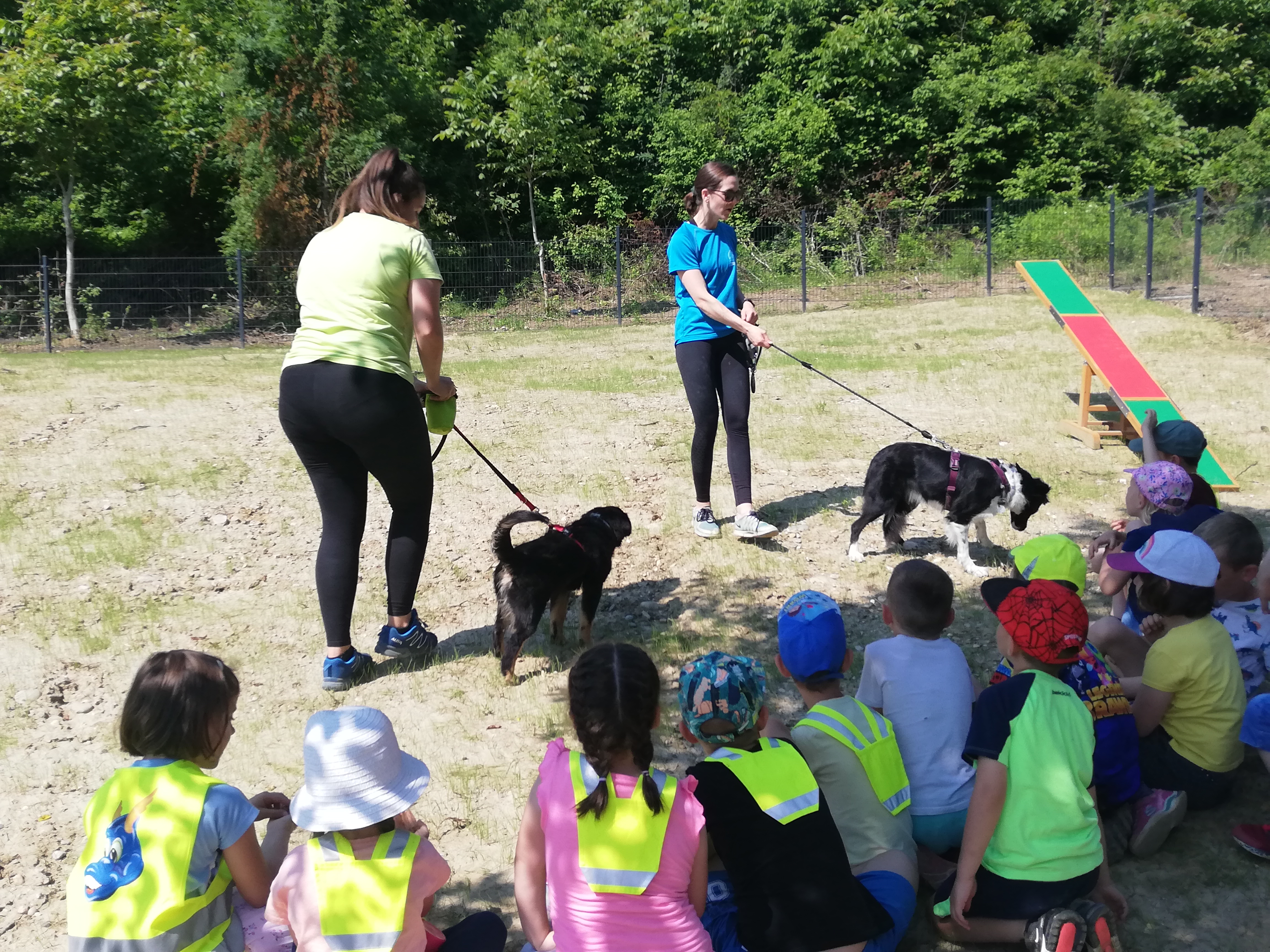 Foto delavnica pasji park 6