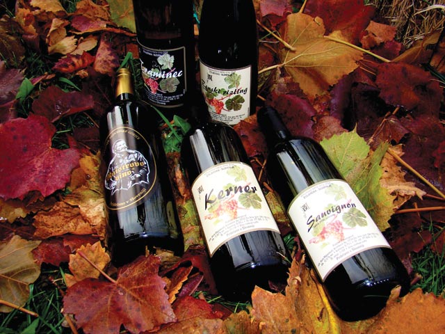 vinogradnistvo majcenovic 02