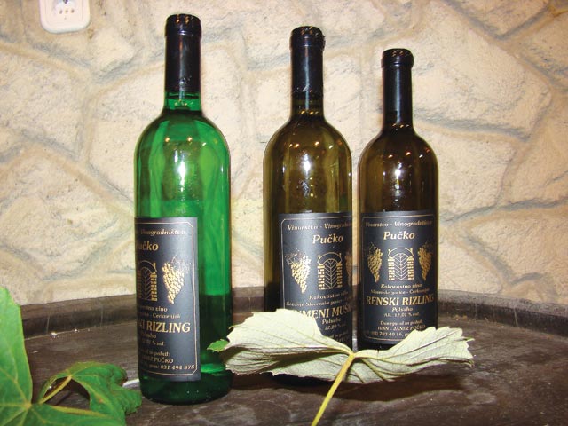 vinogradnistvo pucko 02