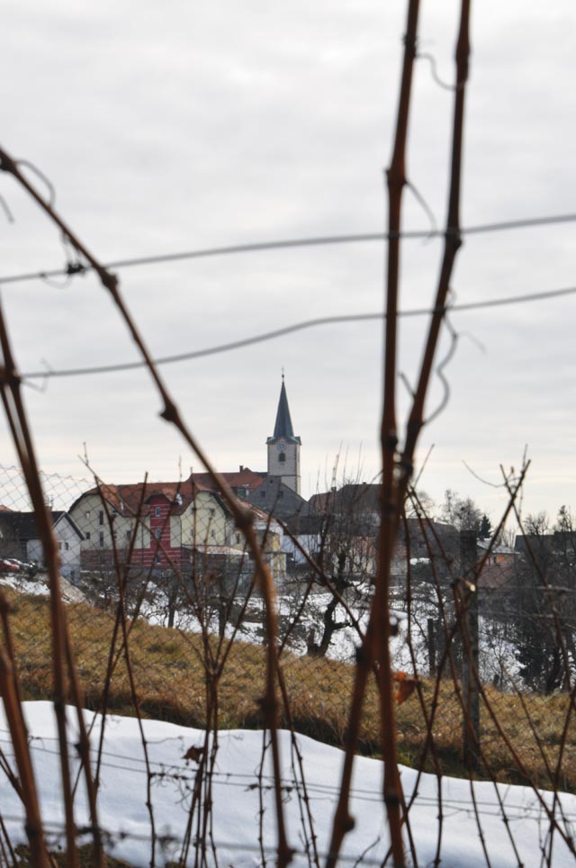 vinotoc na cenkovi 03