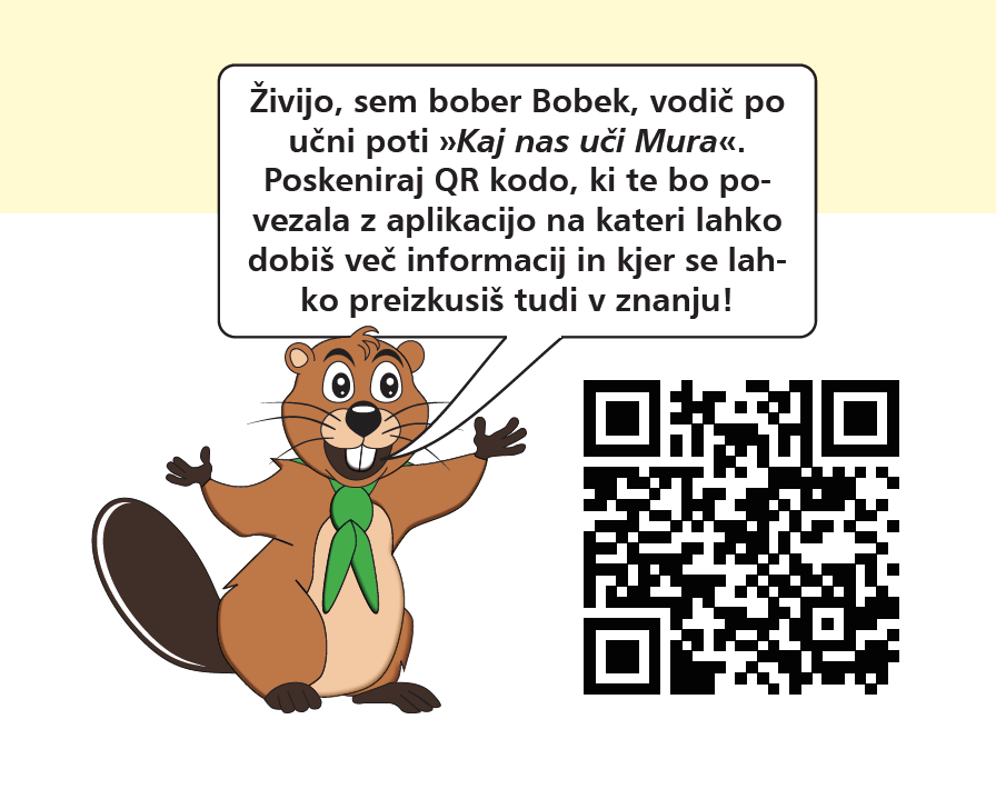 E kviz MURA QR